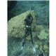 C4 CAMOSKIN MED 5mm Jacket